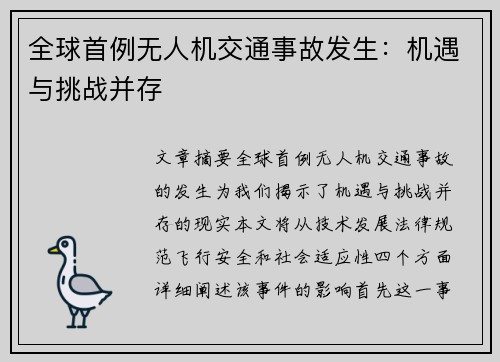 全球首例无人机交通事故发生：机遇与挑战并存
