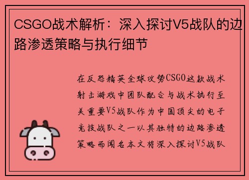 CSGO战术解析：深入探讨V5战队的边路渗透策略与执行细节